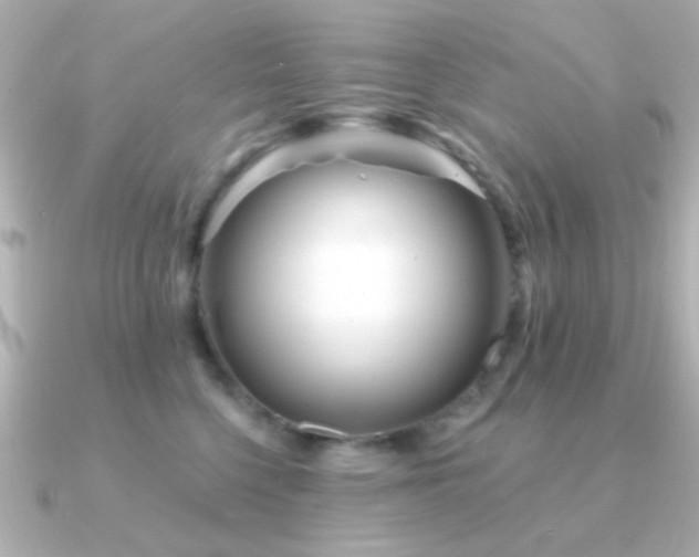 X0000091310568200708101505