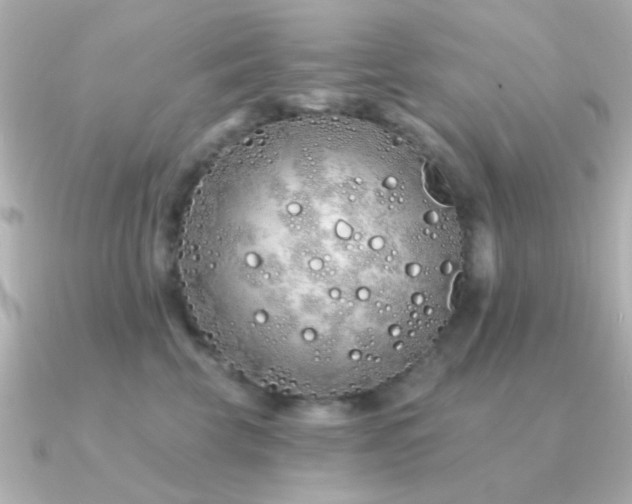 X0000091310569200708101505