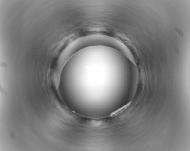 X0000091310570200708101505