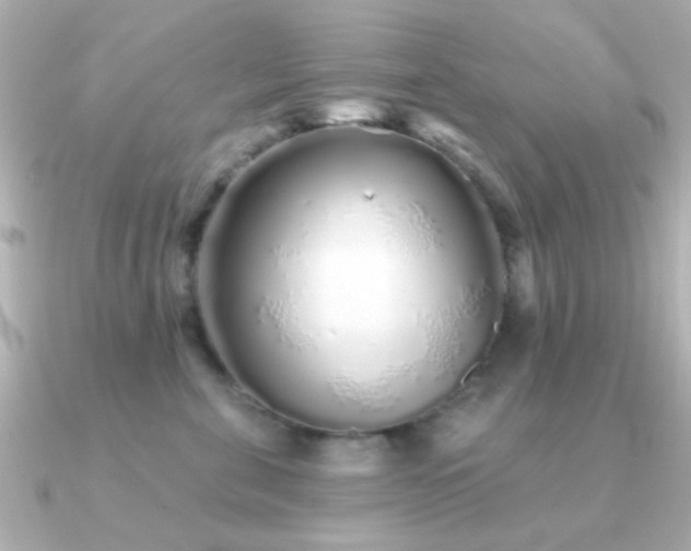 X0000091310571200708101505