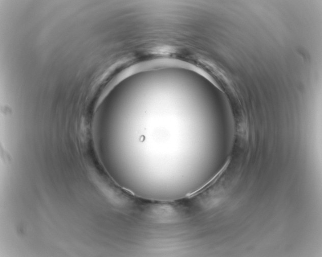 X0000091310572200708101505