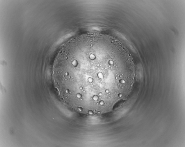 X0000091310573200708101505