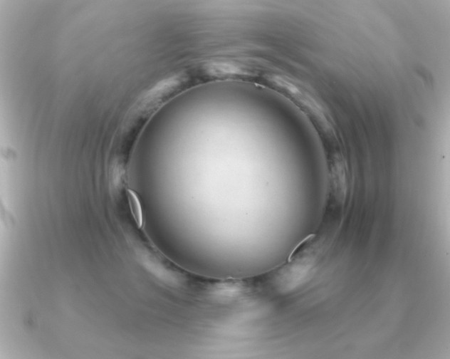 X0000091310574200708101505