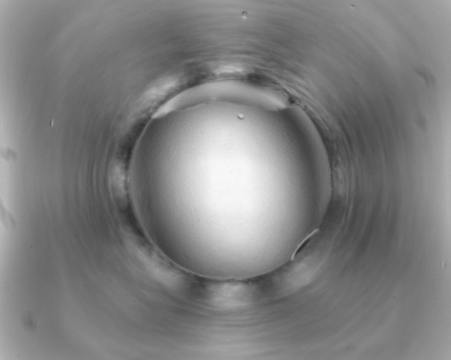 X0000091310575200708101505