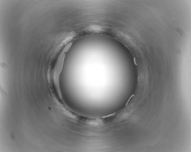 X0000091310576200708101505