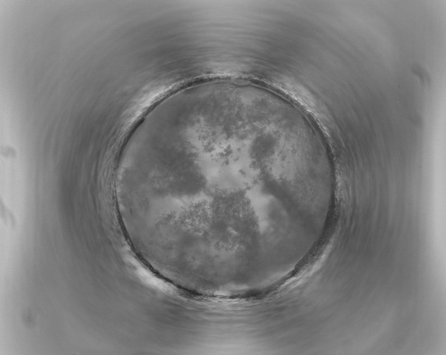 X0000091310577200708101505