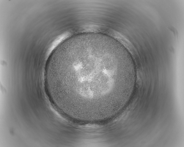 X0000091310578200708101505