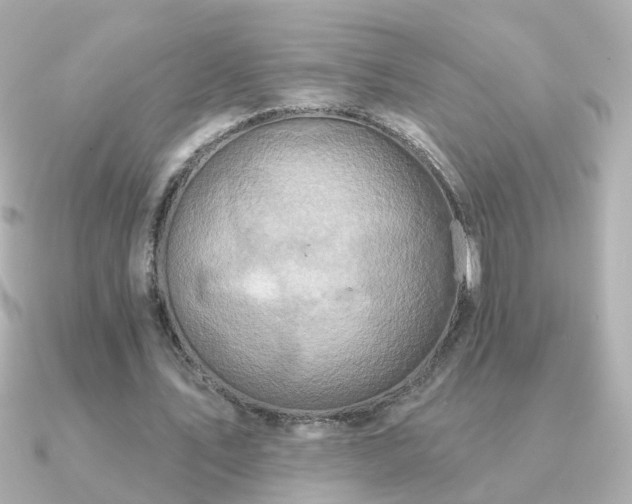 X0000091310579200708101505