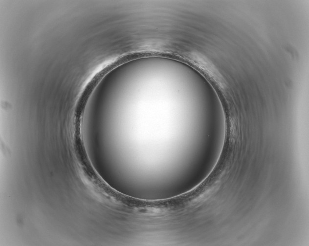 X0000091310580200708101505