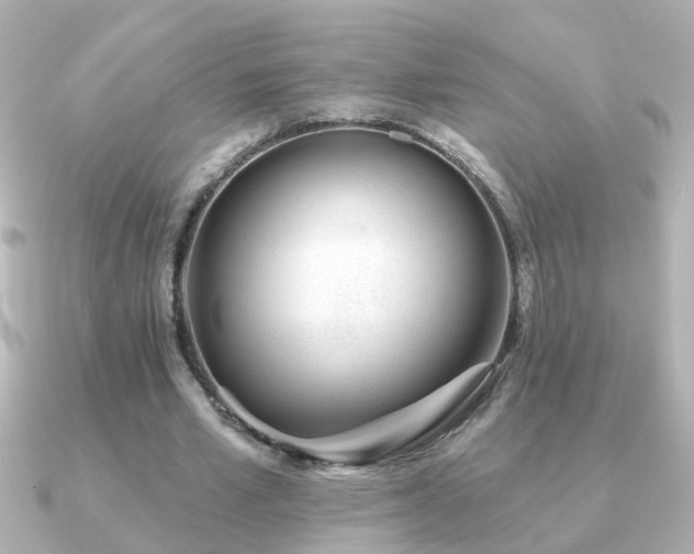 X0000091310581200708101505