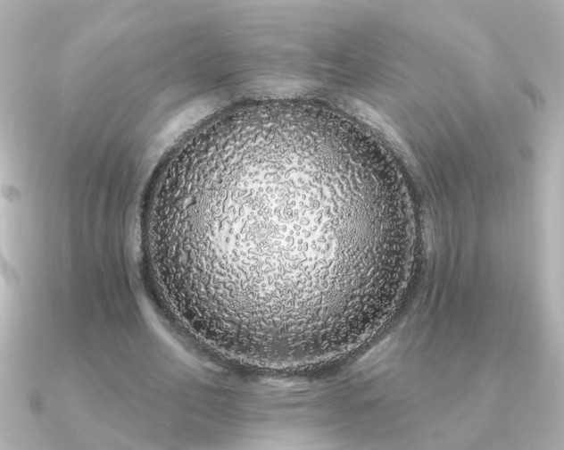 X0000091310582200708101505