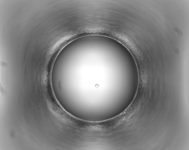 X0000091310583200708101505