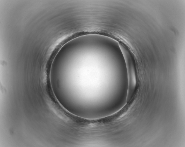 X0000091310584200708101505