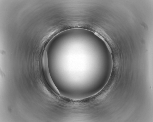 X0000091310585200708101505