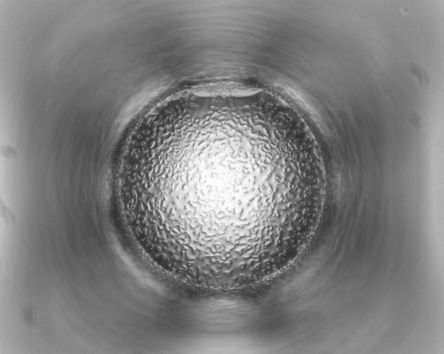 X0000091310586200708101505