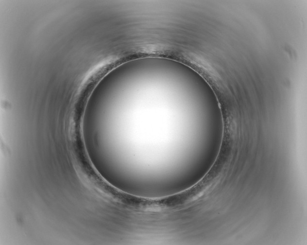 X0000091310587200708101505