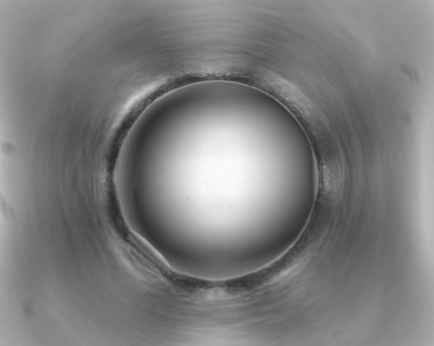 X0000091310588200708101505