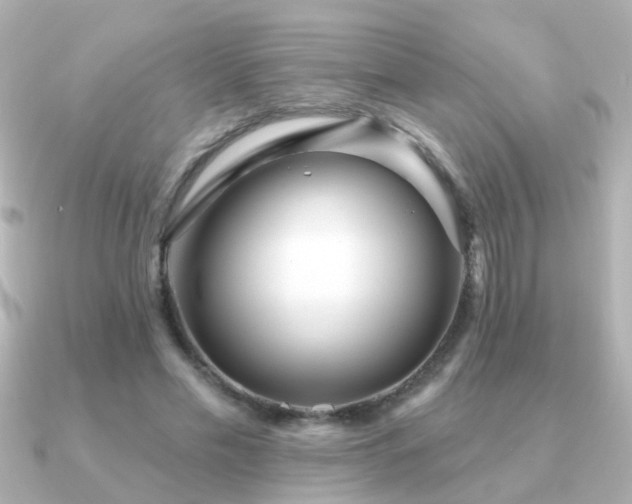 X0000091310589200708101505