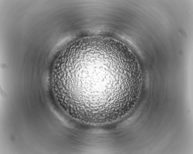 X0000091310590200708101505