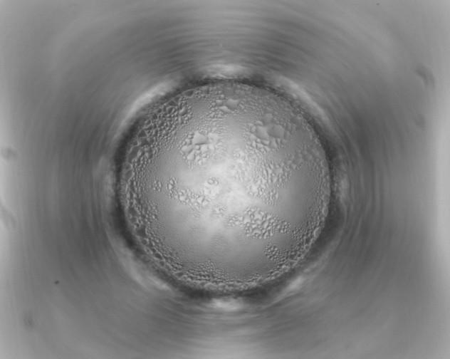 X0000091310591200708101505