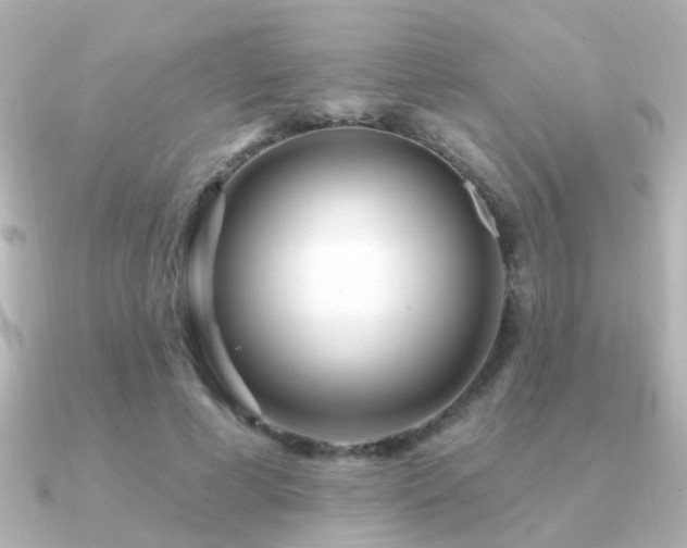 X0000091310593200708101505