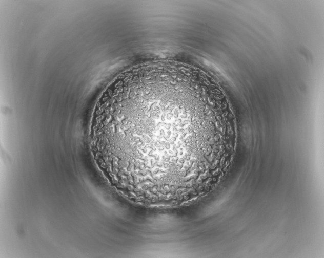 X0000091310594200708101505