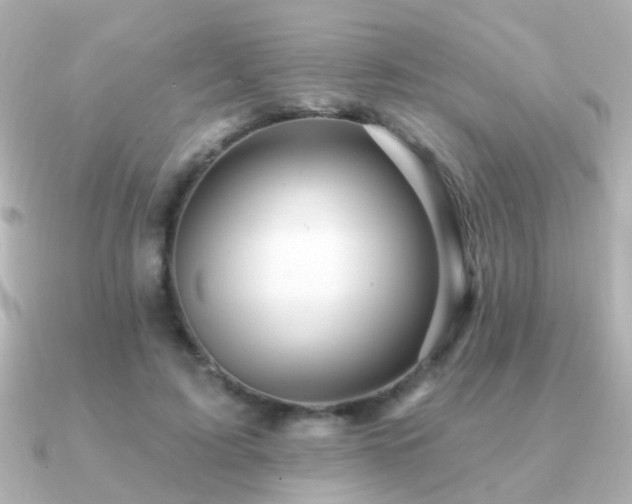 X0000091310595200708101505