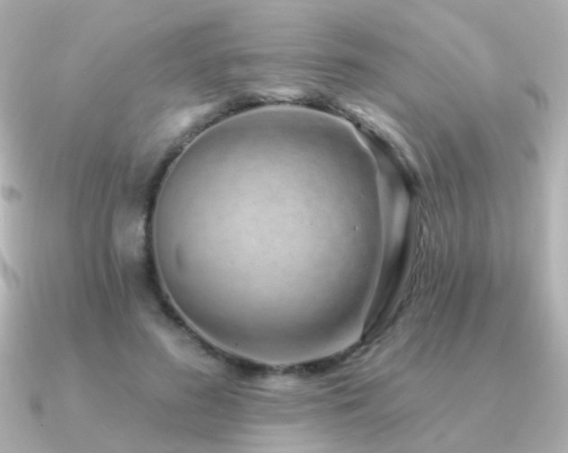 X0000091310596200708101505