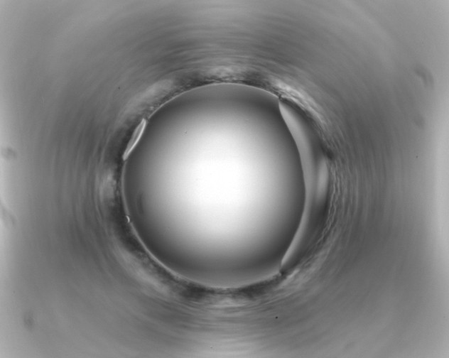 X0000091310597200708101505