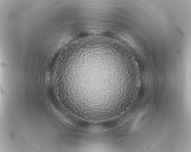 X0000091310598200708101505