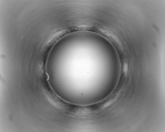 X0000091310599200708101505