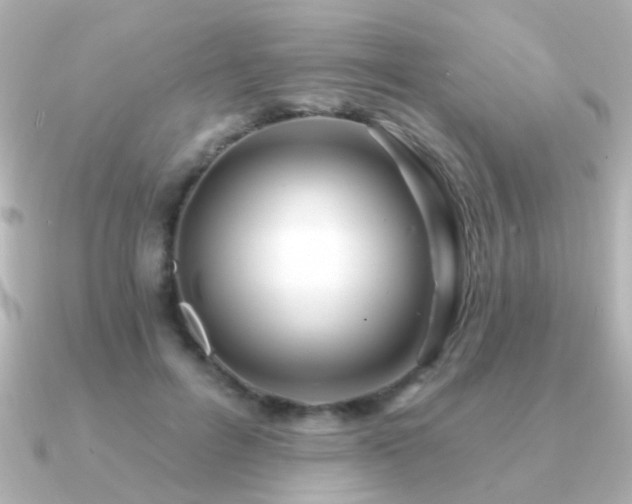 X0000091310600200708101505