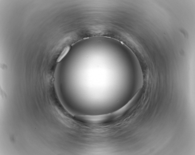 X0000091310601200708101505