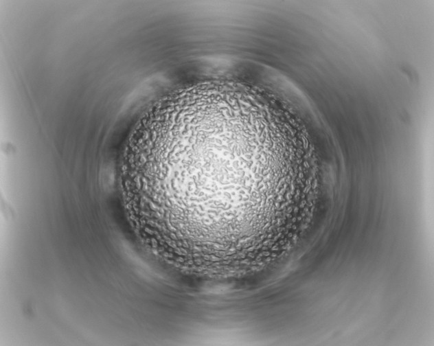 X0000091310602200708101505