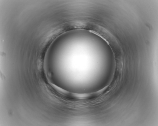 X0000091310604200708101505