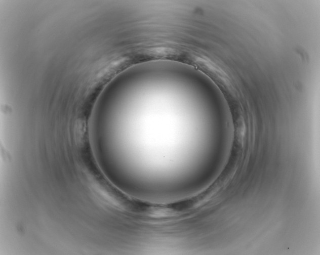 X0000091310605200708101505