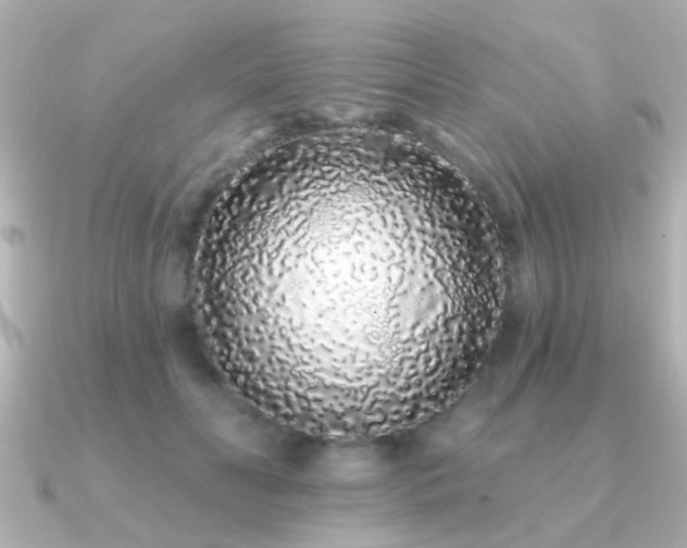 X0000091310606200708101505