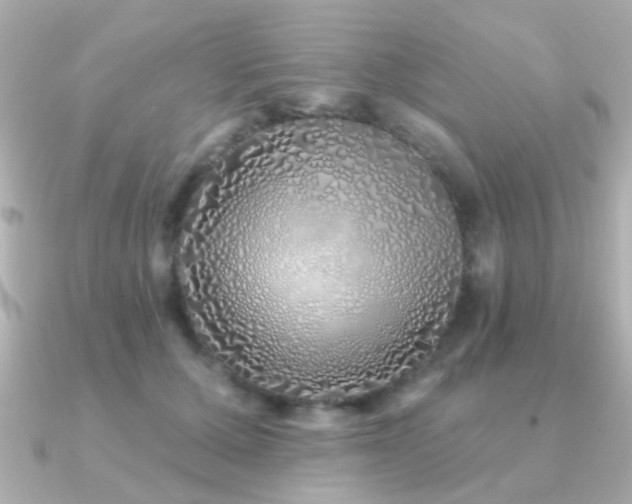 X0000091310607200708101505