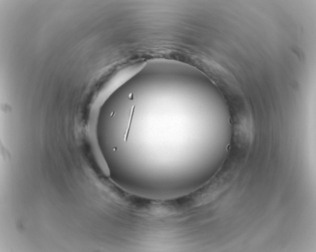 X0000091310608200708101504