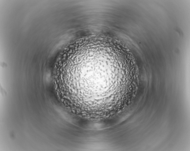 X0000091310610200708101504