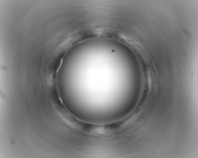 X0000091310611200708101504