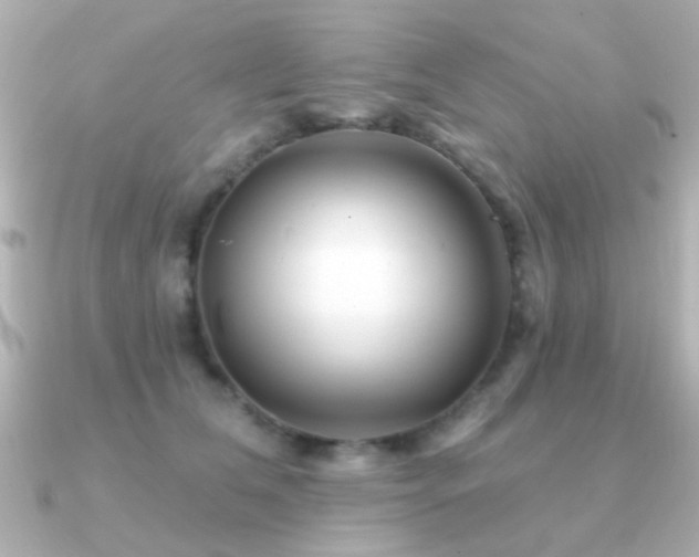 X0000091310612200708101504