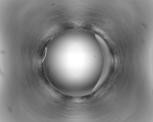 X0000091310613200708101504