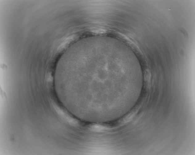 X0000091310614200708101504