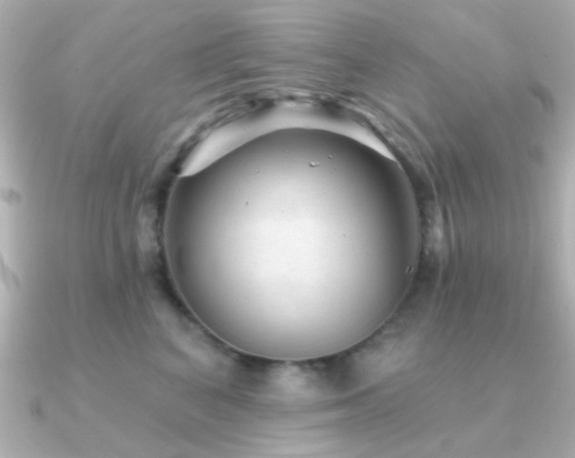 X0000091310616200708101504