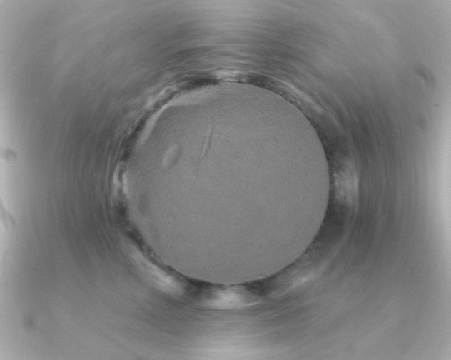 X0000091310618200708101504