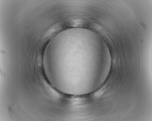 X0000091310620200708101504