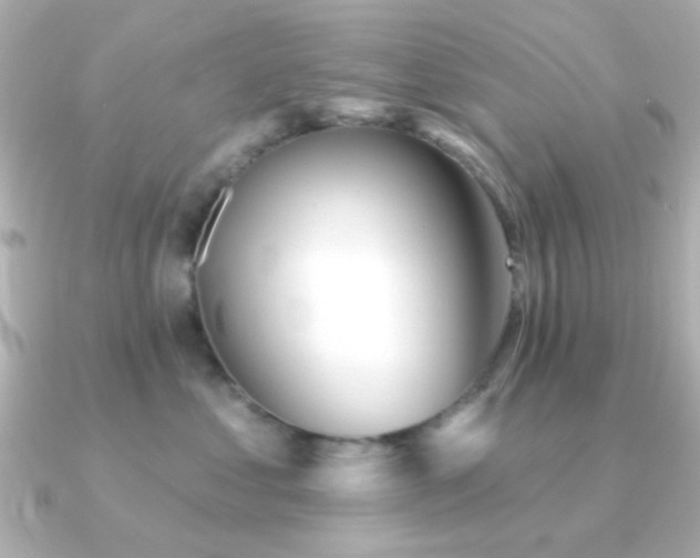 X0000091310621200708101504