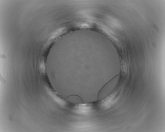 X0000091310622200708101504