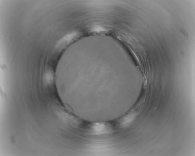 X0000091310623200708101504